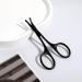 Nose Hair Scissors Small Facial Hair Scissors Stainless Eyebrow Scissors Nose Trimmer Round Tip Design for Facial Eyebrow Mustache Beard Eyelashes Ear (Black) - Buy Online on GoSupps.com