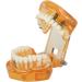 Dpofirs Orange Dental Model - Removable Teaching Tool for Dental Programs Adult Tooth Demonstration & Dental Implants - Buy Online on GoSupps.com