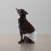 Amazon Basics Disposable Dog Diapers for Male Dogs - Small (30-Pack) | Premium Absorbency & Comfort - Buy Online on GoSupps.com