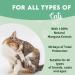 Disane Natural Anti-Parasite Pipettes for Cats | 2 Units for 2 Months | Safe Flea Tick & Mosquito Protection | Non-Toxic Formula - Buy Online on GoSupps.com