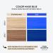 Four Reasons Intensive Toning Treatment Blue - Semi-Permanent Direct Dye Hair Color 200ml for Brightened & Colored Hair - Vibrant Intense Blue Results - Buy Online on GoSupps.com