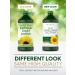 Carlyle Sunflower Lecithin Liquid 16 oz - Non-GMO Oil for Health Benefits - Buy Online on GoSupps.com