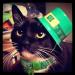 St. Patrick's Day Cat Collar with Bell and Shamrocks Charm - Breakaway Small Dog Collar | BoomBone - Buy Online on GoSupps.com