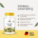 Warnke Health Products Pumpkin Seed Extract 500mg - 250 Capsules with Vitamin E & Selenium | Large Pack for Optimal Wellness - Buy Online on GoSupps.com