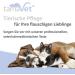 Buy tamaVet Rapid Test for Parvovirus in Dogs & Cats - 5 Self-Test Kit | Fast & Reliable Detection - Buy Online on GoSupps.com