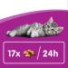 Whiskas 2-12 Month Kitten Milky Treats 55 g (Pack of 8) Milky Treats 55 g (Pack of 8) - Buy Online on GoSupps.com