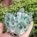 Natural Crystal Rough 1pc Natural Green Phantom Quartz Crystal Cluster Stone Ornaments 300G-900G for (Color : 1pc810g-900g Size : 1PC) 1PC 1pc810g-900g - Buy Online on GoSupps.com
