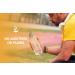 Buy PURE ORIGINAL INGREDIENTS Goldenseal Berberine - 730 Capsules No Fillers Lab Verified Pure Supplements - International Shipping Available - Buy Online on GoSupps.com