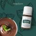 Buy Young Living Peppermint Vitality Essential Oil - 100% Pure 5ml for Culinary & Aromatherapy Use - Buy Online on GoSupps.com