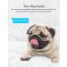 YI Dog Camera with Phone App  WiFi Indoor Cam with 2-Way Audio  Night Vision  360-degree  Sound Motion Detection  Cat Pet Puppy Bird Animal Doggie Nanny Cam  Compatible with Alexa and Google - Buy Online on GoSupps.com