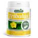 Tribulus Terrestris 500mg - 200 Capsules