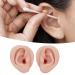 Silicone Ear Model Pair for Jewelry Display and Piercing Practice - Soft & Flexible Simulation Ear Mold Teaching Tool (2 Pieces) - Buy Online on GoSupps.com
