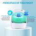 Nails Fungus Treatment Device VENDELLA Rechargeable Nail Fungus Laser Remover Pain-Free and Safe for Onychomycosis Discolored Brittle Cracked Nails and Thickened Toenails and Fingernails - Buy Online on GoSupps.com