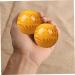 Garneck 2-Pack Health Balls - Seewide Lacrosse Massage Balls for Fascia Release & Yoga - Natural Resin Body Massage Tools - Buy Online on GoSupps.com