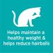 IAMS Proactive Health Dry Cat Food Adult - Indoor Weight & Hairball Care with Salmon Blue 7.26 kg (Pack of 1) 7.26 kg (Pack of 1) Cat Food - Buy Online on GoSupps.com