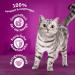 Whiskas Senior 7+ Dry Cat Food with Chicken - 5x800g Packs for Older Cats | International Shipping Available - Buy Online on GoSupps.com