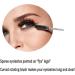 XPP Disposable Eyelash Brushes 100PCS Eye Brow Spoolie Castor Oil Brush Mascara Wands - Crystal Black - Buy Online on GoSupps.com
