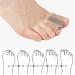 4 Piece Toe Smooth Double-Hole Spreaders for Hammer Toe Relief & Hallux Valgus Correction - International Shipping Available - Buy Online on GoSupps.com