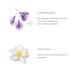 RITUALS The Ritual of Namast Anti-Aging Facial Oil | Ageless Collection 30 ml | Buy Internationally at Best Price - Buy Online on GoSupps.com