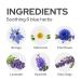DUFT & DOFT Pink Breeze Perfumed Body Wash 17.6 fl oz - Paraben Free Gentle Cleansing with 6 Blue Herbs for Sensitive Skin - Buy Online on GoSupps.com