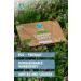 Eco-Friendly Laundry Detergent Sheets - Ocean Breeze - Biodegradable Ingredients & No Harsh Chemicals 3 Pack (90 Loads) - Buy Online on GoSupps.com