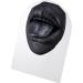 Buy Hamagi False Mouth - Flexible Soft Silicone Model for Educational & Simulation Displays | Perfect Teaching Aid - Buy Online on GoSupps.com
