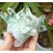 Crystal Rough Crystal 250g Green Ghost Cluster Crystal Stone Clear Quartz Crystal Cluster Natural Ghost Quartz Cluster Specimen Suitable for Home Office Decoration - Buy Online on GoSupps.com