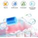 100 Pieces Oral Care Sticks - Taste Neutral Cotton Swabs for Dental Clinics | Premium Oral Hygiene & Mouth Care - Buy Online on GoSupps.com
