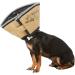 Buy All Four Paws The Comfy Cone XS Nude - Best Pet Collar for Recovery | International Shipping - Buy Online on GoSupps.com