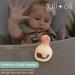 Ali+Oli Food & Fruit Feeder Pacifier Set (Snow & Blush) - BPA-Free Silicone Teether for Babies - Buy Online on GoSupps.com
