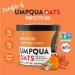 Umpqua Oats Maple Pecan Premium Oatmeal Cups - Pack of 8 | Custom Milled, Non-GMO, All Natural & No Mush - Buy Online on GoSupps.com