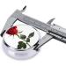 Red Rose Round Pill Box - 3 Compartment Mini Decorative Pocket Organizer for Travel & Vitamins - Buy Online on GoSupps.com