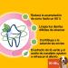 Pedigree Dentastix DAILY Fresh Dental Snacks for Medium Dogs 70 Sticks | Healthy Teeth & Fresh Breath | International Shipping - Buy Online on GoSupps.com