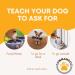 Dog training talking buttons | Commandog touch recordable talking dog buzzer train your dog to talk with dog communication buttons | Easy to use dog training buttons | 4pk talking buttons for dogs |UK - Buy Online on GoSupps.com