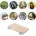 winmiya 2 PCS Bird Platform Bird Cage Accessories Pet Platform Climbing Platform Rat Cage Accessories Wooden Stand Rest Place for Small Animals - Buy Online on GoSupps.com