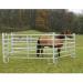 Kerbl Panel Fence Element 3.0m with Gate & Chain Lock - Durable International Shipping | Quality ECommerce - Buy Online on GoSupps.com