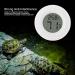 Mini Digital Hygrometer Thermometer - Indoor Temperature Monitor for Reptiles | Large LCD & Backlight - White - Buy Online on GoSupps.com