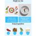 KONGDY 50 Extra Strong Slimming Patches Fast Weight Loss Patch Detox Slim Patches Herbal Slimming Patch Belly Fat Burner Patch Herbal Diet aid (50) - Buy Online on GoSupps.com