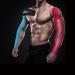 Kinesiology Tape 2 x 16' Orange - Relieve Muscle Soreness, Waterproof, Hypoallergenic - Pack of 1 - Buy Online on GoSupps.com