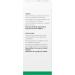 A. Vogel Bioforce - Ginkgoforce - 50ml - Buy Online on GoSupps.com