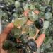 Natural Crystal Rough 50g Natural Prehnite Green Grape Quartz Crystal Gravel Stone Decoration Natural Quartz Crystals - (Size: 50g) - Buy Online on GoSupps.com