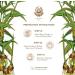 KURUNDU CEY | 100% Natural & Pure Ginger Infusion | Perfect For After Meals | Help Build Digestive Fire | Hot & Cold Infusion | Herbal Tea | Caffeine & Sugar Free | 20 Sachets - Buy Online on GoSupps.com