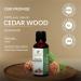Buy 100% Pure Cedar Wood Oil 30 ML | Undiluted Therapeutic Grade Juniperus Virginiana Essential Oil for Aromatherapy - Buy Online on GoSupps.com