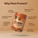 100% Natural Vegan Plant Protein Powder - Easy Digest Filter Coffee 25g Protein Gluten Free Dairy Free No Added Sugar Soy Free Non-GMO - 7 Servings (284g - Buy Online on GoSupps.com
