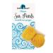 Sea Pearls Reusable Sea Sponges - Classic Medium 2pk