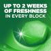 Harpic Hygienic Fresh Sticker Adhesive Toilet Block Green - Pine 4 Packs of 4 stickers. Toilet Freshener No Plastic Applicator. 4 count (Pack of 4) - Buy Online on GoSupps.com