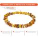 100% Baltic Amber Dog Necklace | Tick Protection for Cats & Dogs | Eco-Friendly Dog Collar - 24 - Buy Online on GoSupps.com