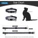 Nobleza 2-Pack Kitten Collar with Bell | Breakaway Cat Collars | Reflective & Adjustable | Safe Quick Release Buckle | Paw Print & Stripe Design | Black - Buy Online on GoSupps.com