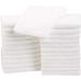 Amazon Basics Fast Drying, Extra Absorbent, Terry Cotton Washcloths - Pack of 24, White, 12 x 12-Inch White 12 x 12 inches Washcloth set