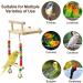 Buy Bugbags for Birds - Parrot Wood Platform Swings & Chewing Toys for Green Cheeks Chinchillas & Hamsters | Shop Now for International Shipping - Buy Online on GoSupps.com
